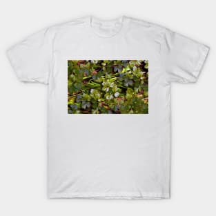 Abstract Parsley Composition T-Shirt